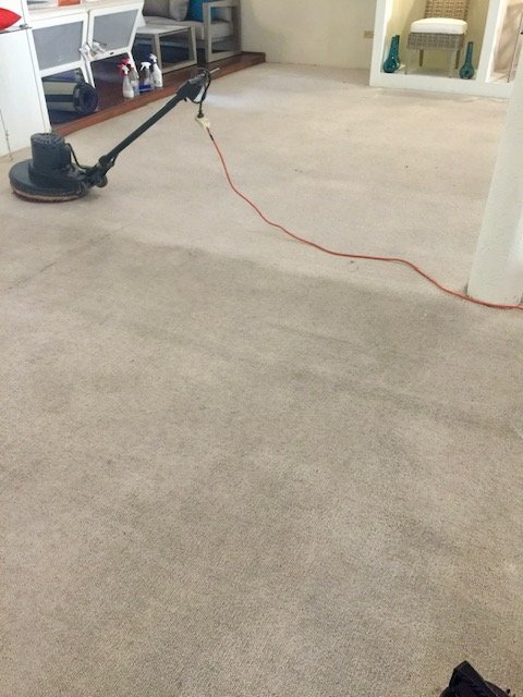 Carpet Cleaning In Greenfield